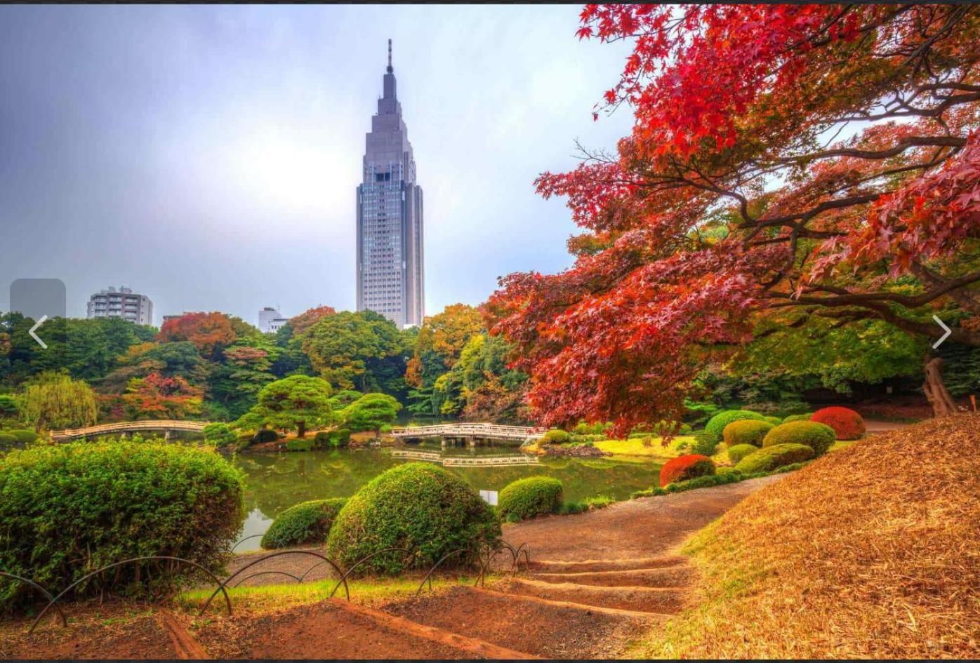 诚信东新宿 Токио Экстерьер фото