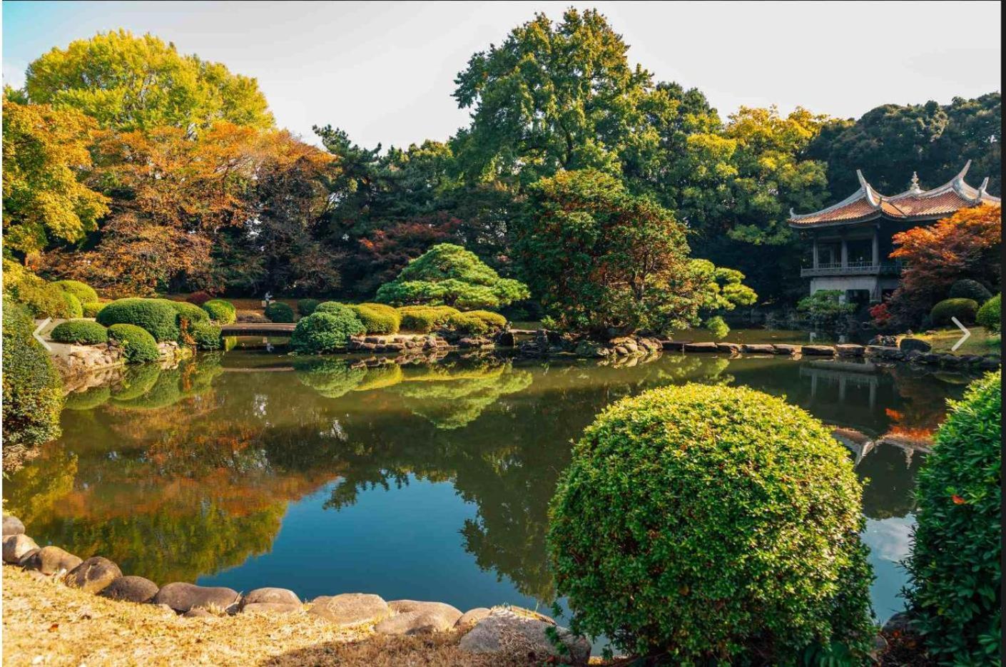 诚信东新宿 Токио Экстерьер фото